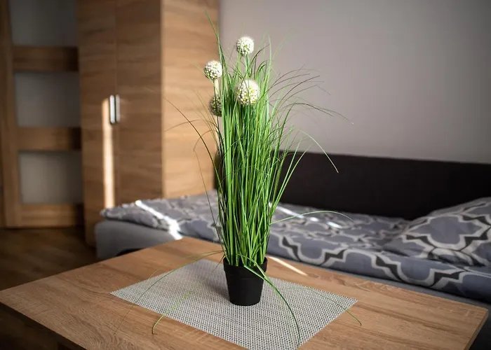 U Moniki Apartment Janowiec Wielkopolski