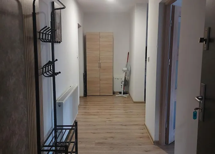 Apartment U Moniki *